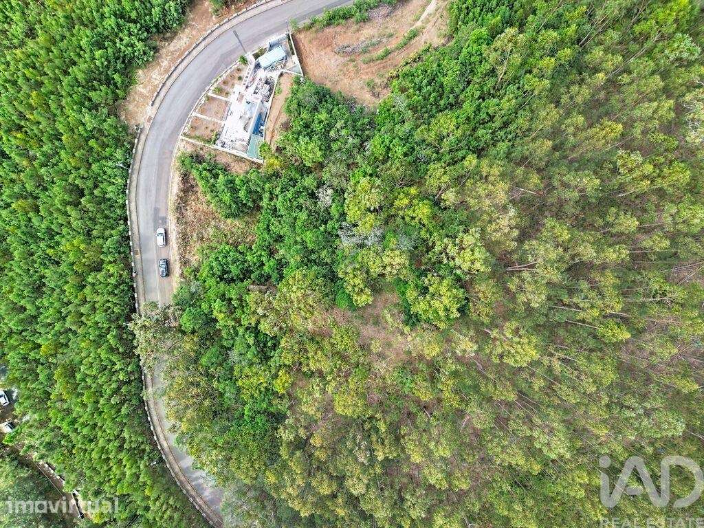 Terreno Agrícola em Campanário - Grande imagem: 5/9