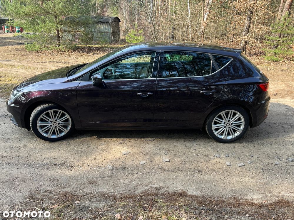 Seat Leon 1.5 EcoTSI Evo Xcellence S&S - 13