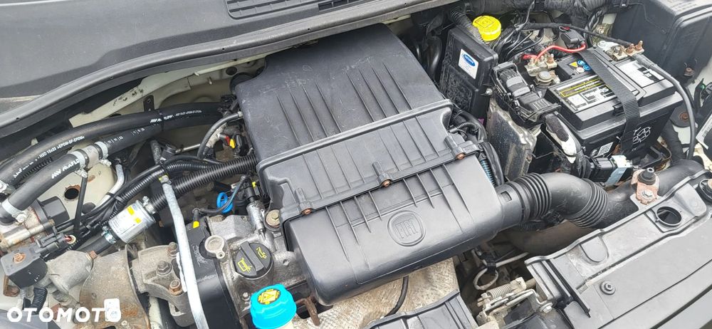 Fiat Panda - 28
