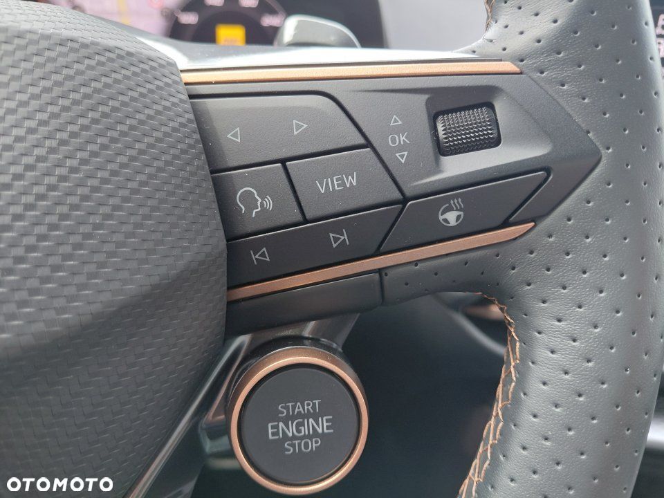 Cupra Terramar - 20