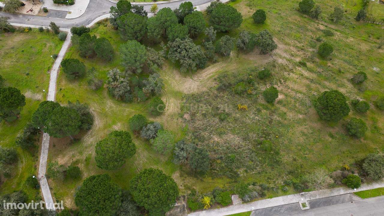 Lote Exclusivo com 2.150 m2 para moradia | Vila Nova de Santo Estevão - Grande imagem: 4/8