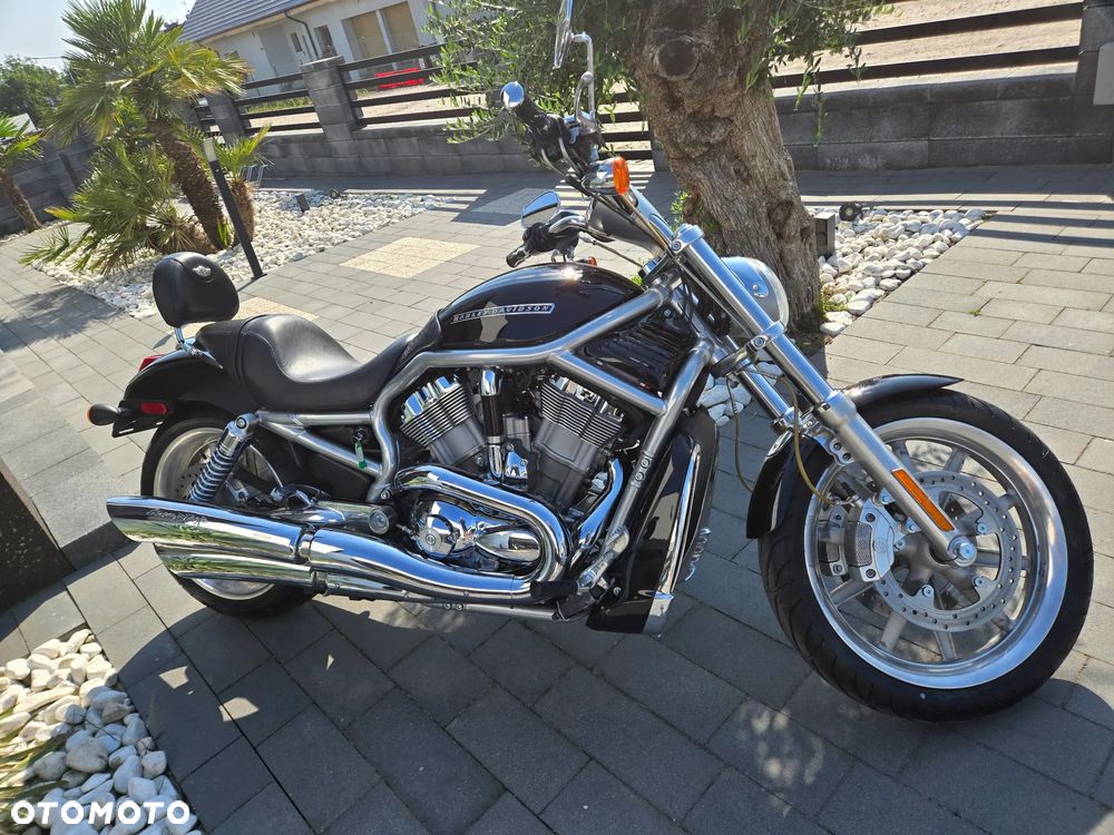Harley-Davidson V-Rod Night Rod - 1