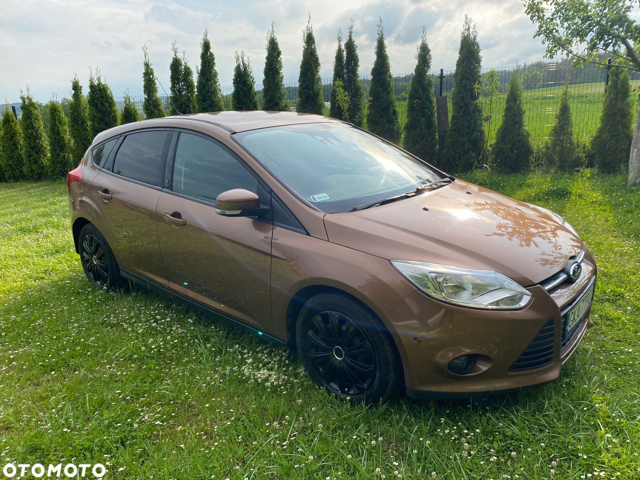 Ford Focus - 6