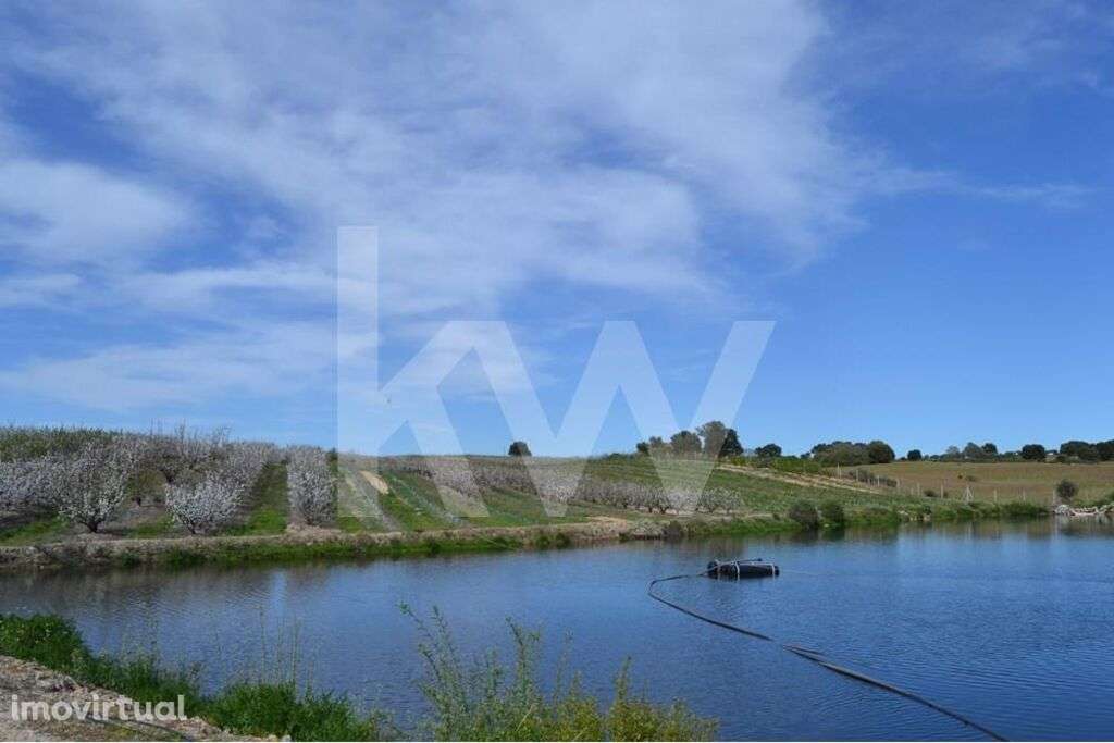 VENDA HERDADE COM PRODUÇÃO DE CEREJAS e PESSEGUEIROS - Grande imagem: 2/34