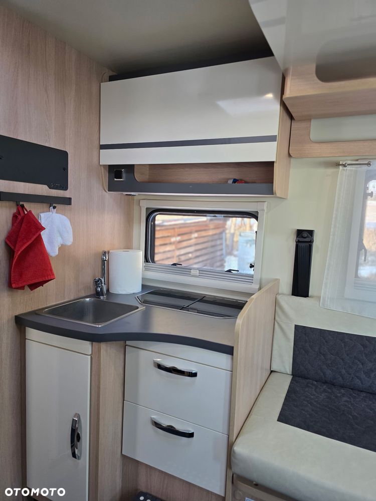 Giottiline Siena - 11