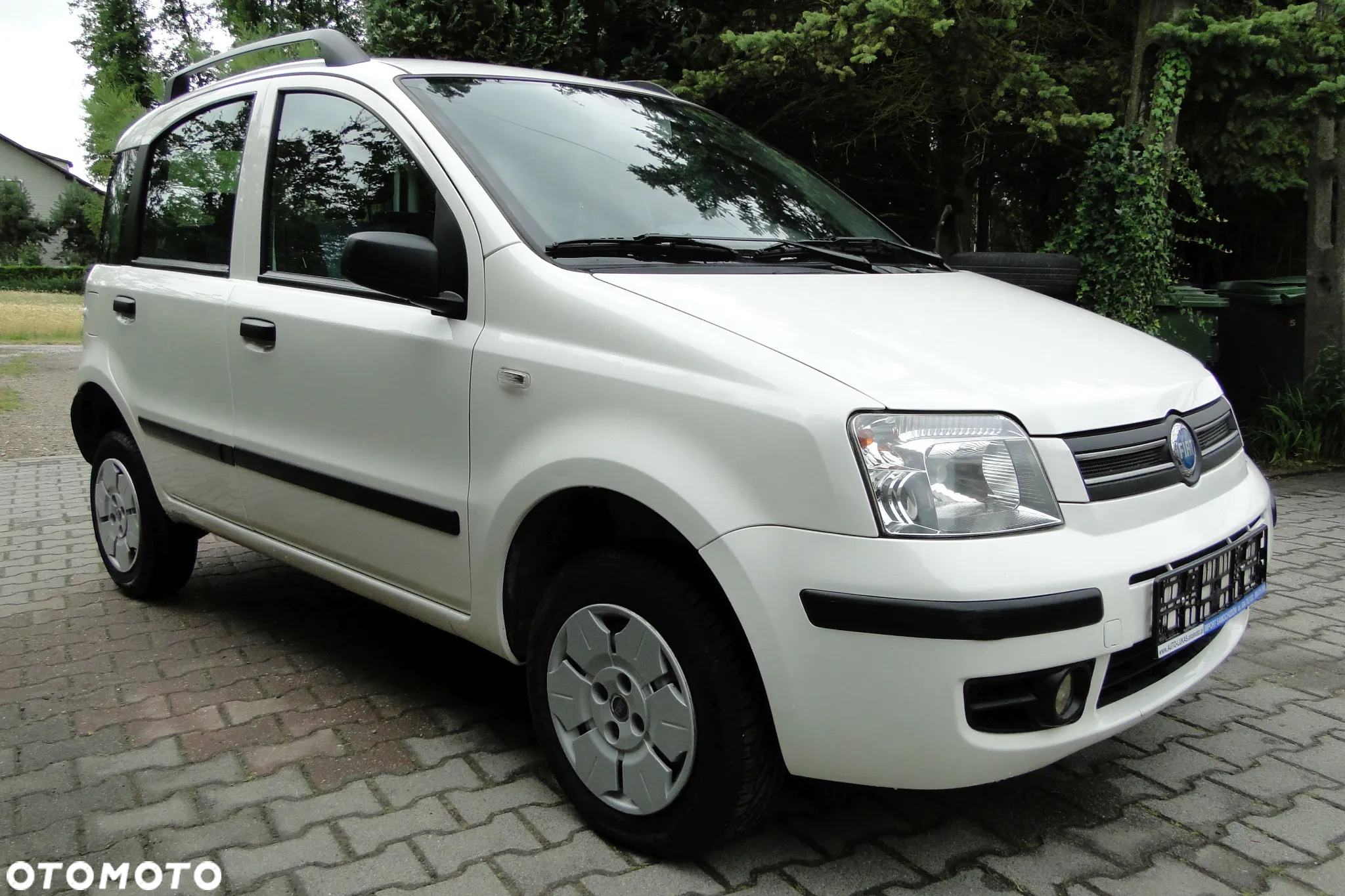 Fiat Panda 1.2 Dynamic Plus - 3