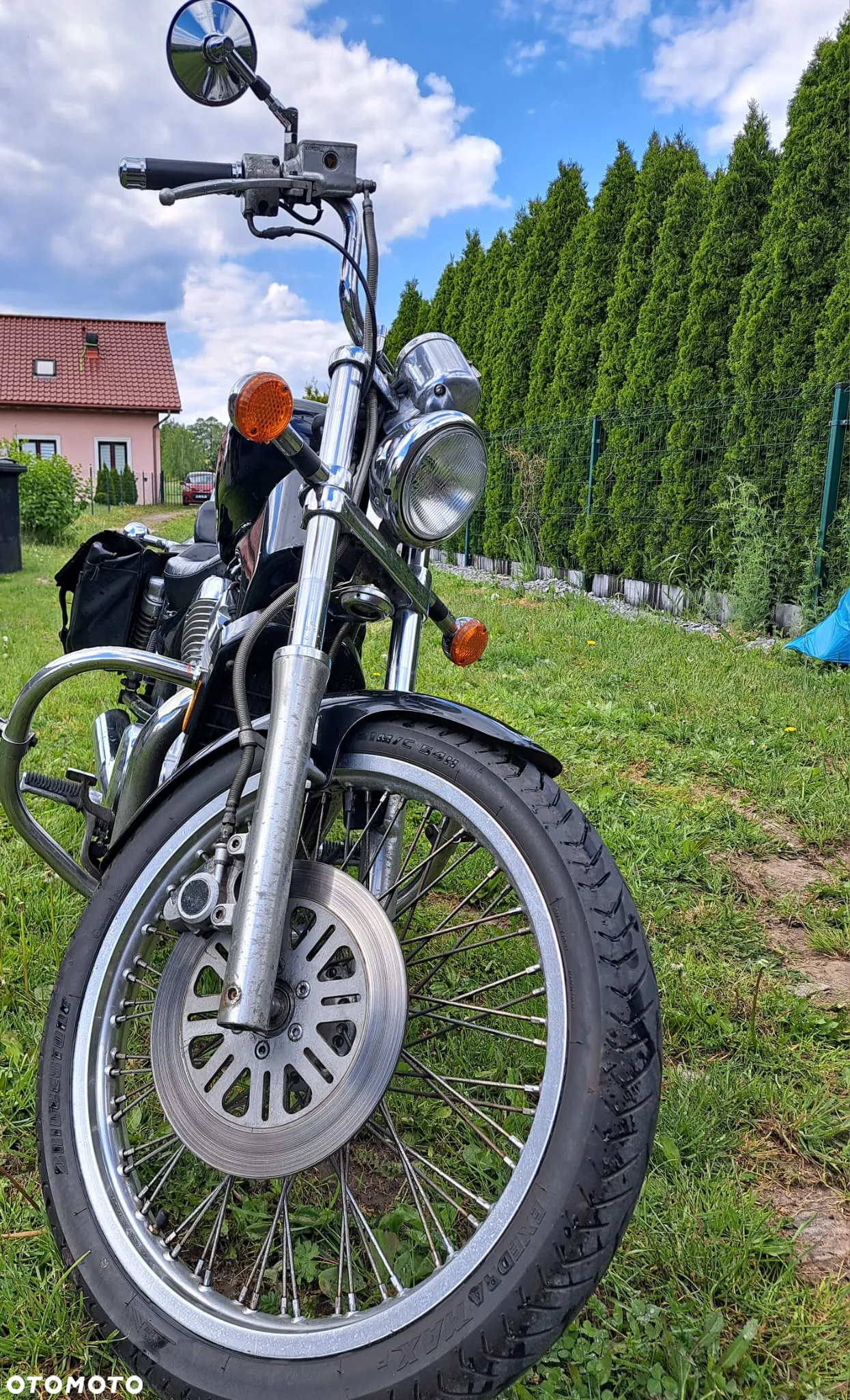 Suzuki Intruder - 2