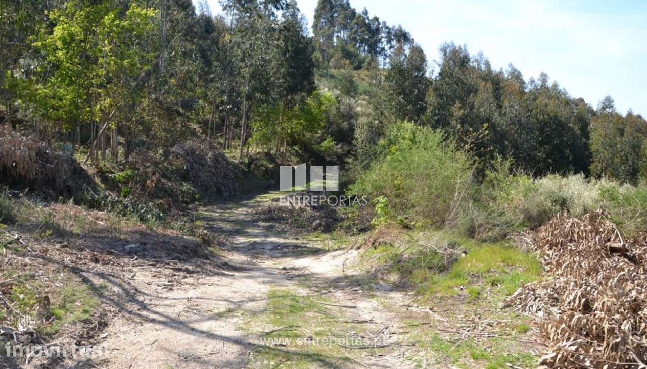 Venda Terreno, Avessadas, Marco de Canaveses - Grande imagem: 3/9