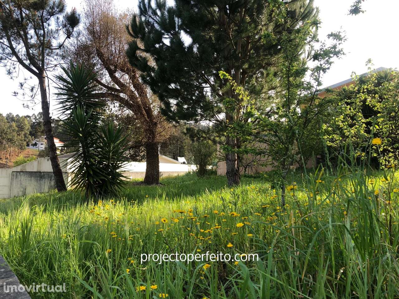 Terreno Urbano  Venda em Fiães,Santa Maria da Feira - Grande imagem: 3/6