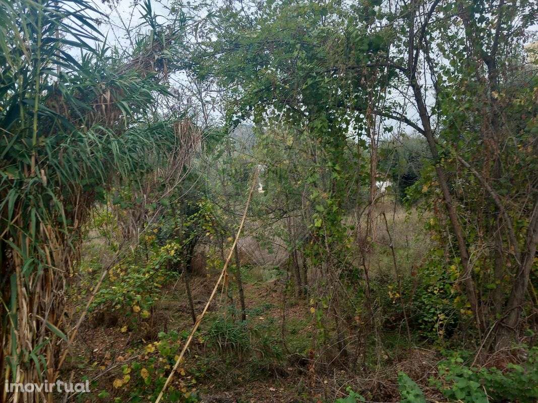 Terreno  para venda - Grande imagem: 4/6