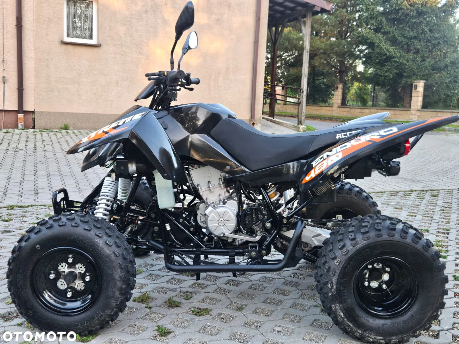 Yamaha Raptor - 24