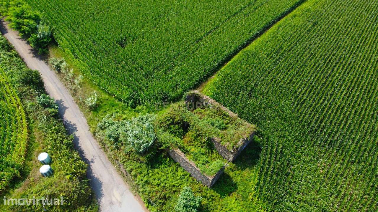 Terreno com 8.420 m² e duas frentes em Água de Pau, Lagoa - Grande imagem: 5/12