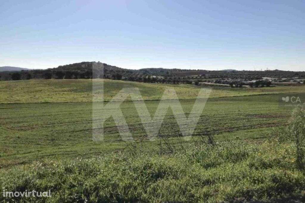 TERRENO RÚSTICO COM POTENCIAL URBANIZÁVEL EM SEVER DO VOUGA - Grande imagem: 3/6