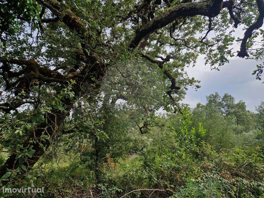 Terreno  para venda - Grande imagem: 2/6