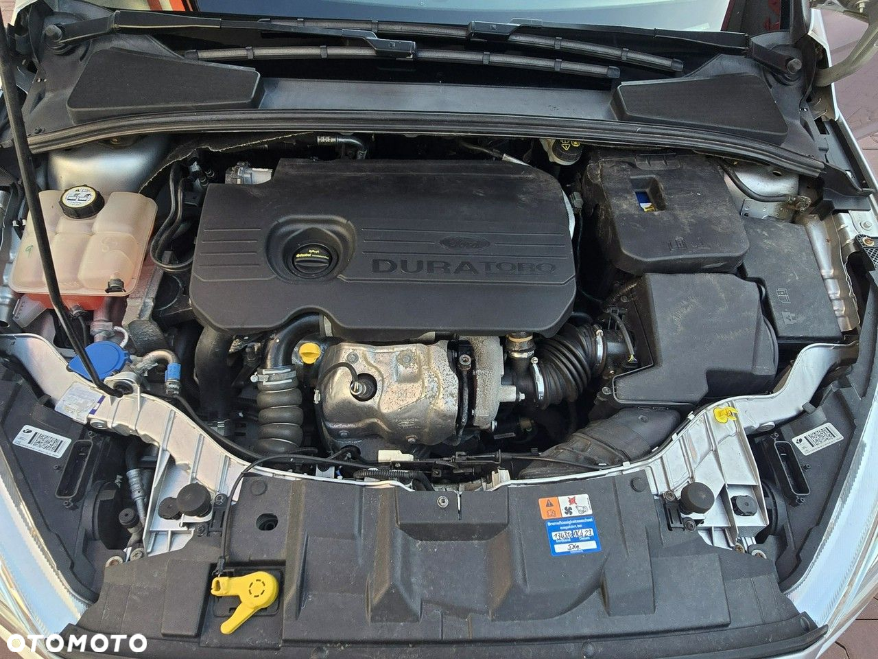 Ford Focus - 29