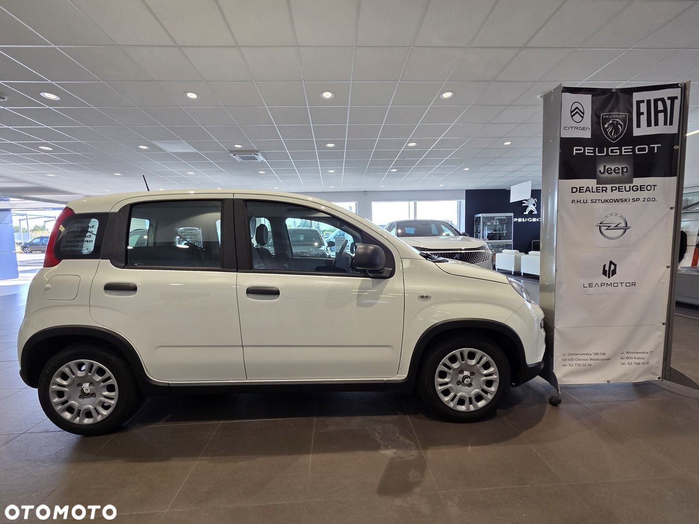 Fiat Panda 1.0 Hybrid - 3