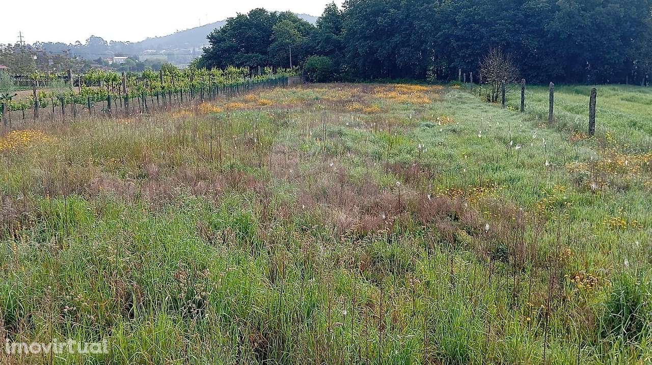 Terreno  para venda - Grande imagem: 3/5