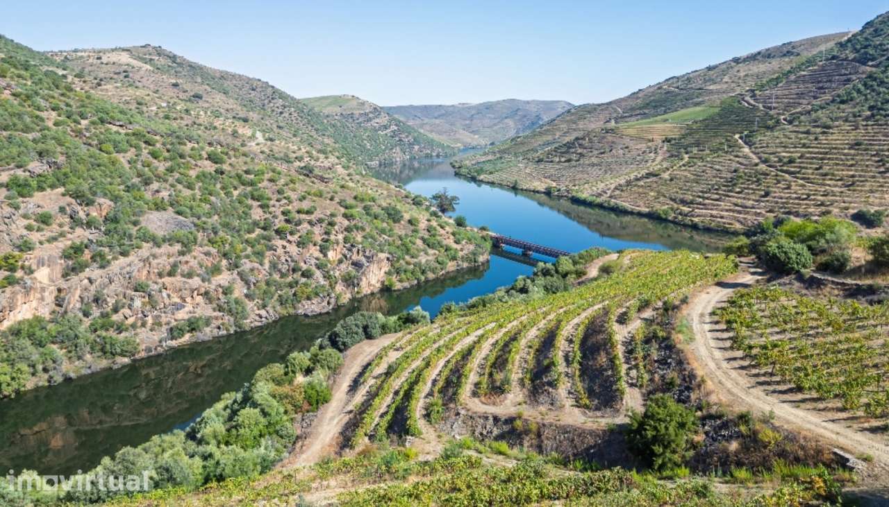 Quinta na Zona Histórica de Foz Côa no Douro Valley - Grande imagem: 2/25