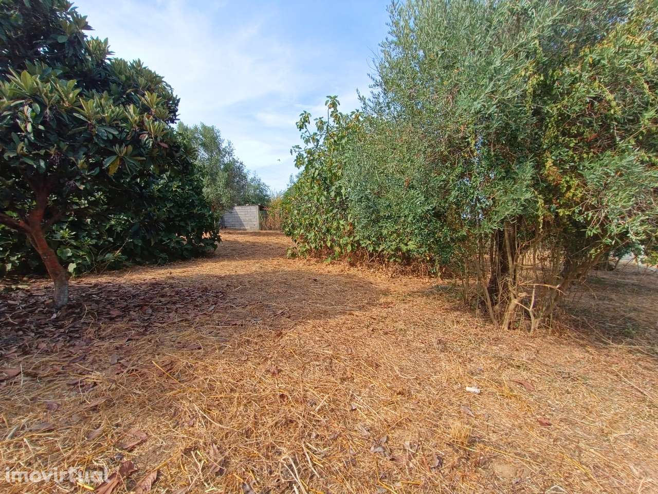 Terreno para venda em Alcanhões – 1.000m² - Grande imagem: 2/6