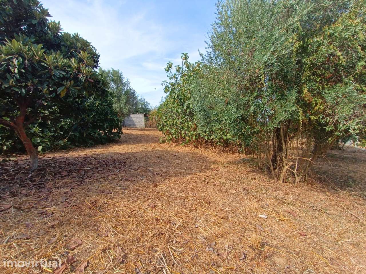 Terreno para venda em Alcanhões – 1.000m² - Grande imagem: 2/6