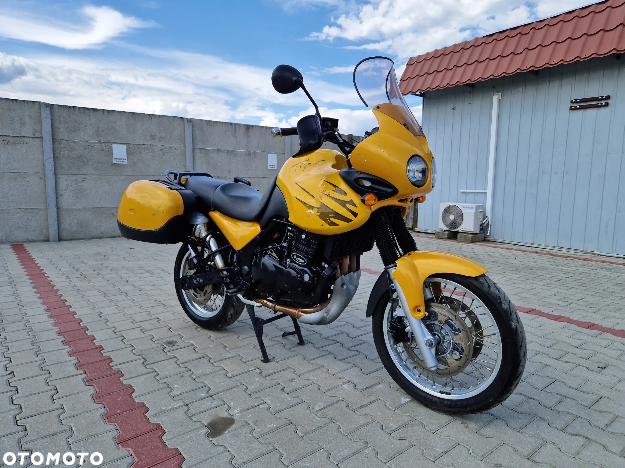 Triumph Tiger - 10