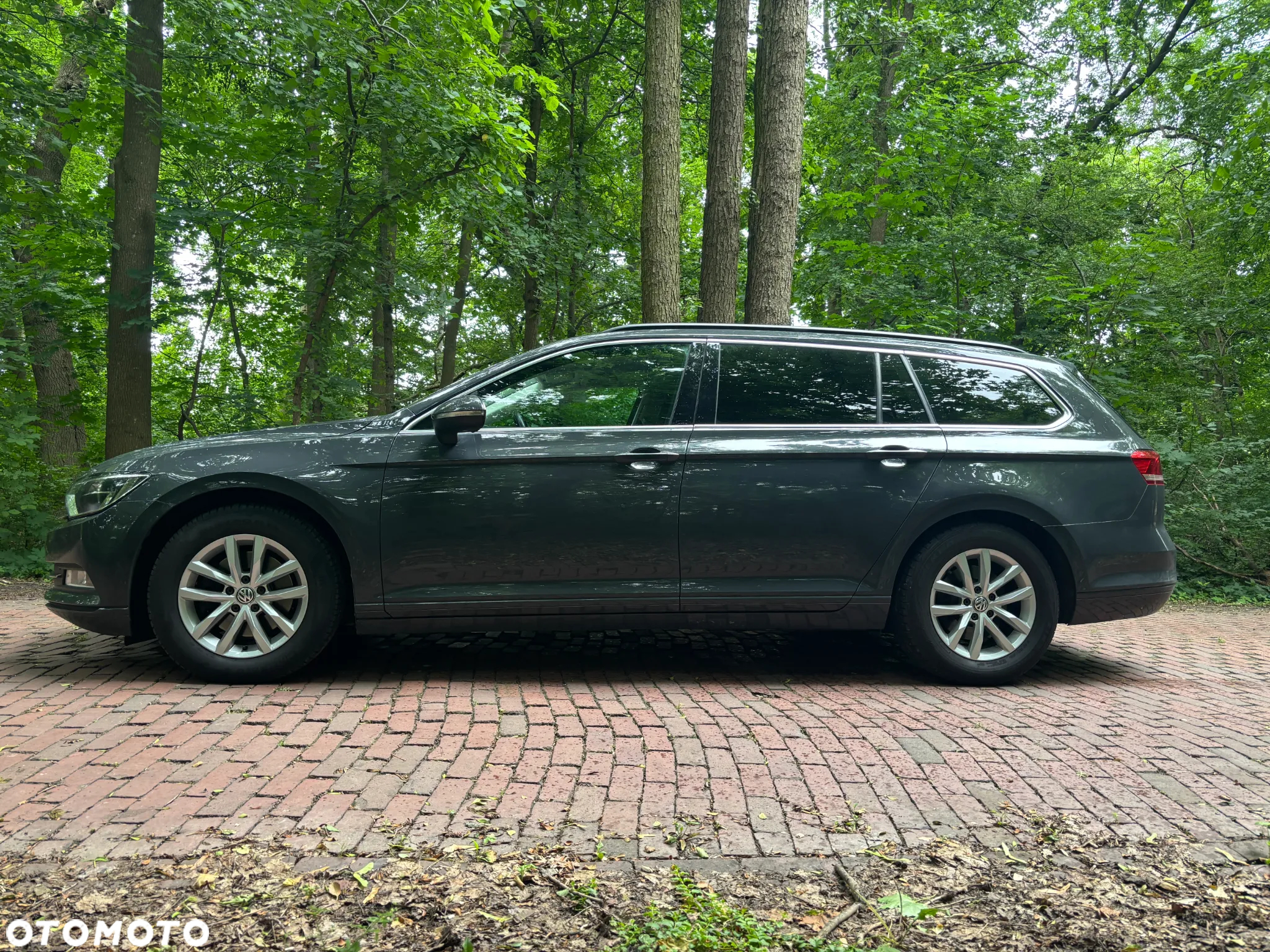 Volkswagen Passat - 3