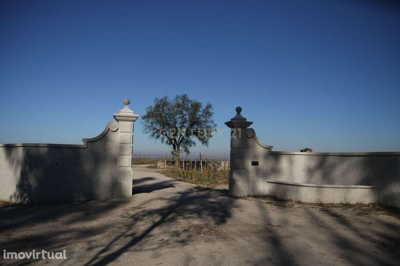 Quinta da Cerqueda, Santo Tirso - Grande imagem: 3/54