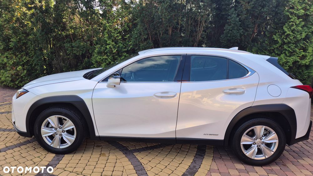 Lexus UX 250h GPF Business 2WD - 5