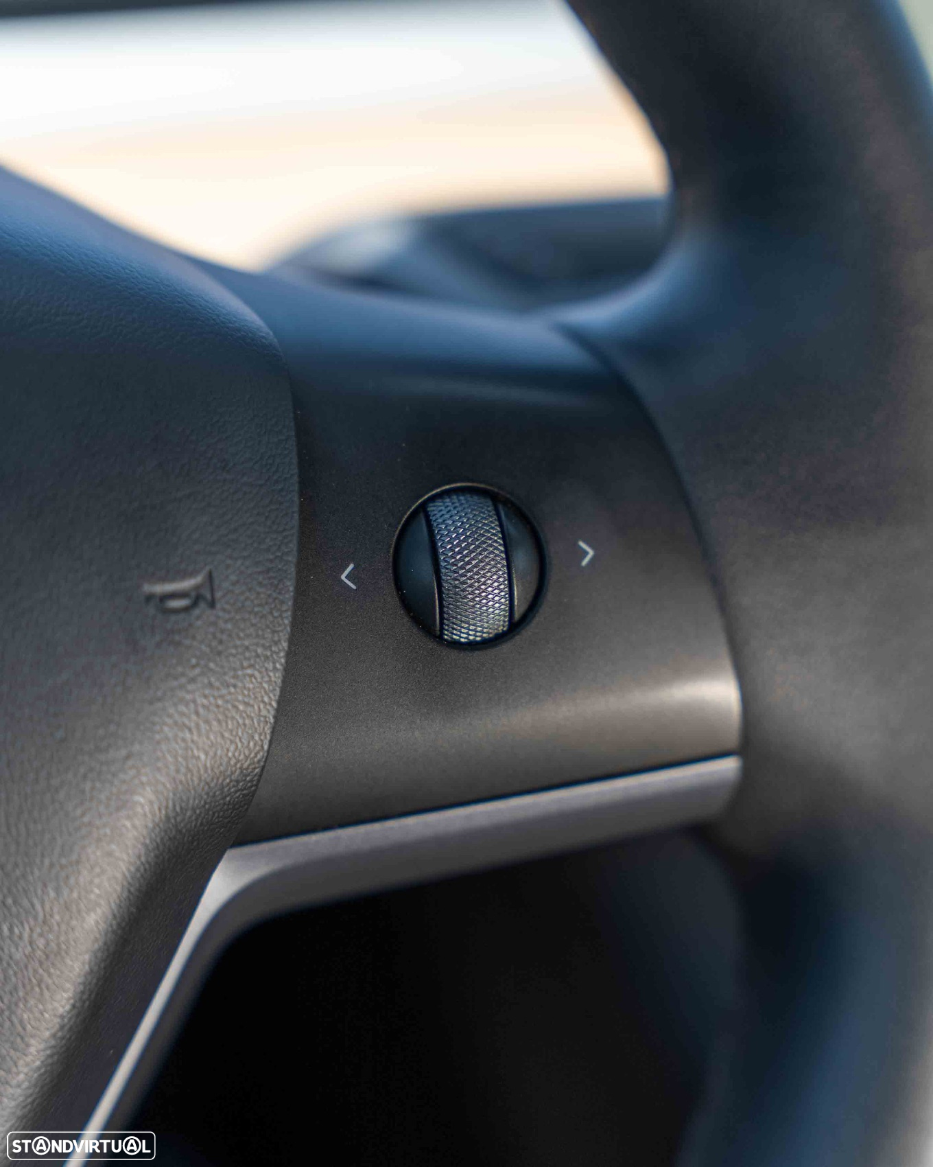 Tesla Model Y Performance Dual Motor AWD - 17