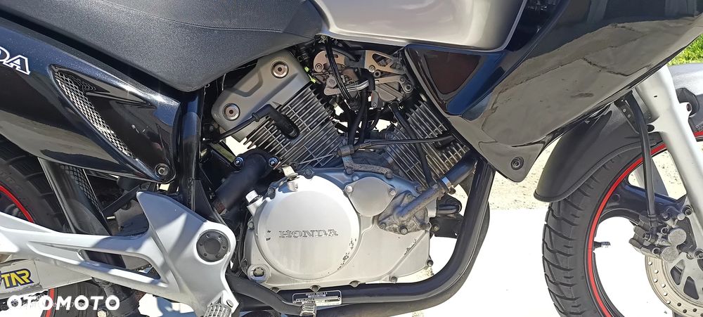 Honda Varadero - 7