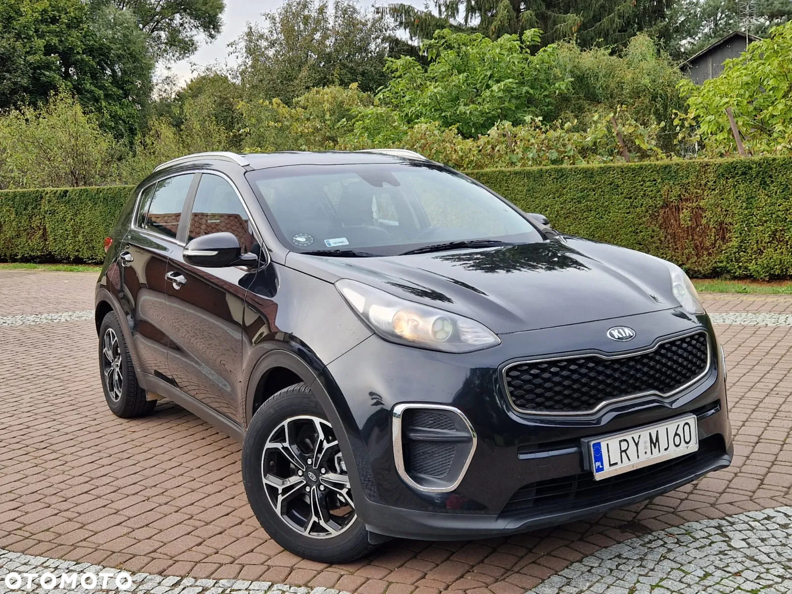 Kia Sportage - 16