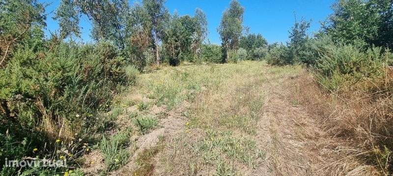 Terreno com 2510m² - Grande imagem: 4/4