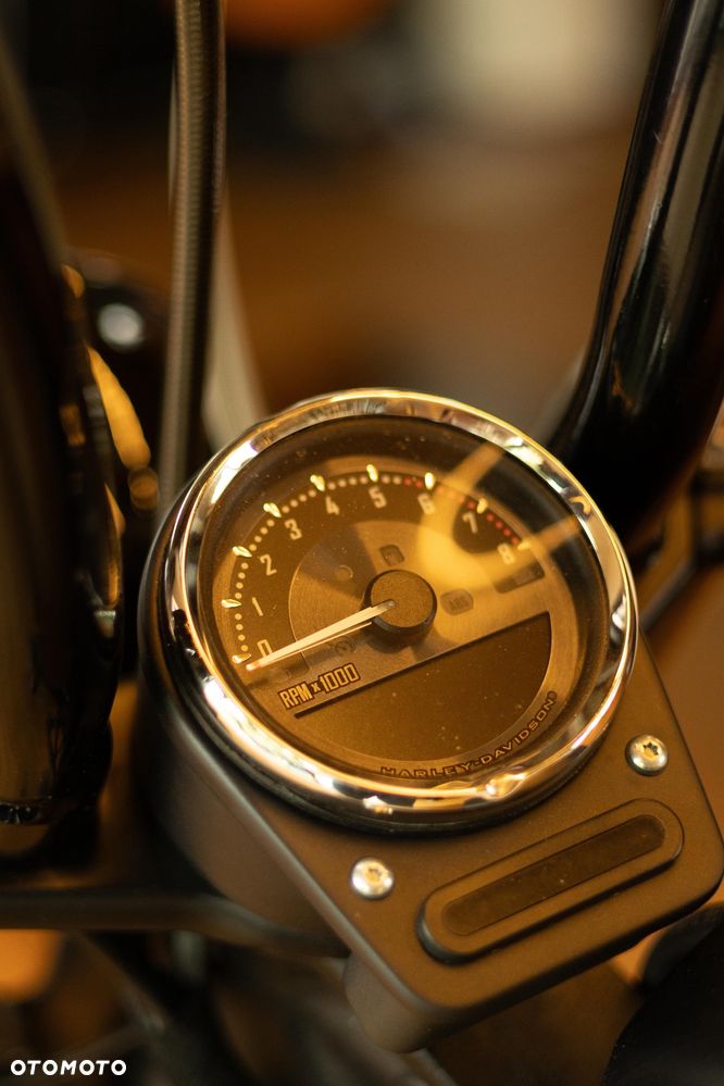 Harley-Davidson Softail Blackline - 23