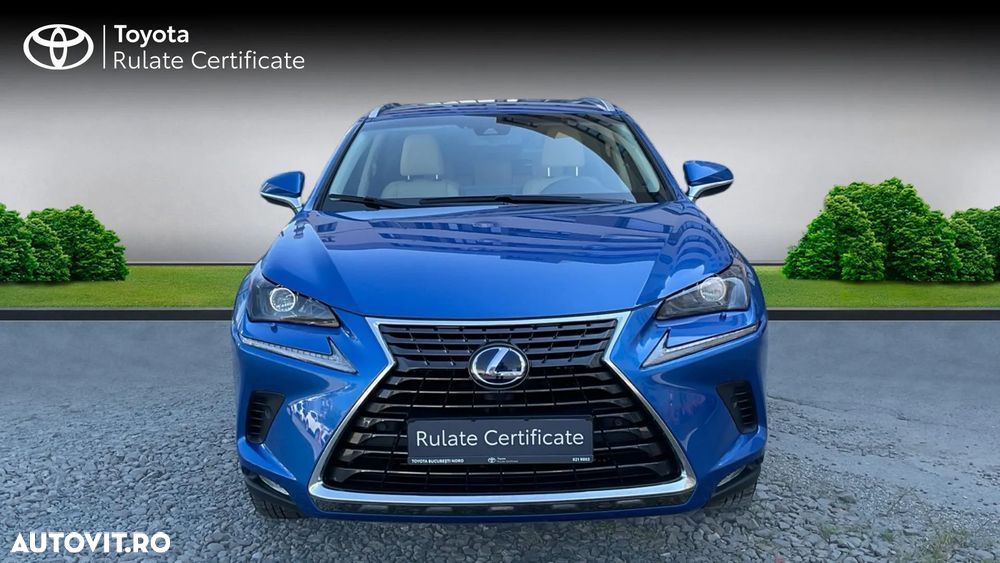 Lexus Seria NX 300h AWD Executive Plus - 4