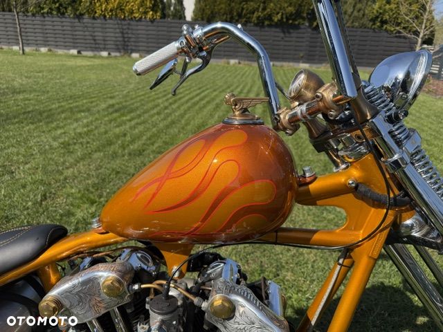 Harley-Davidson Inny - 10