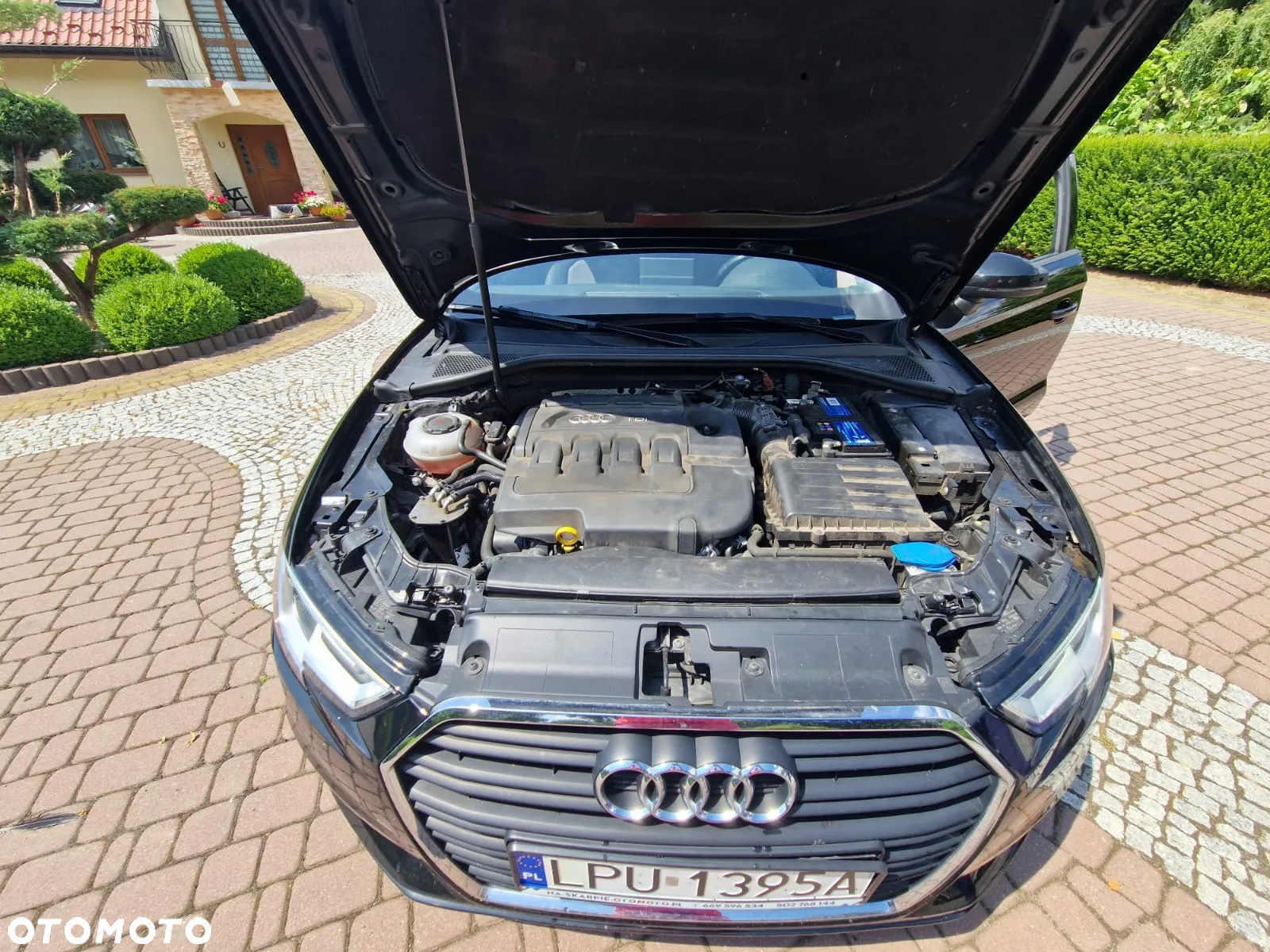 Audi A3 - 23