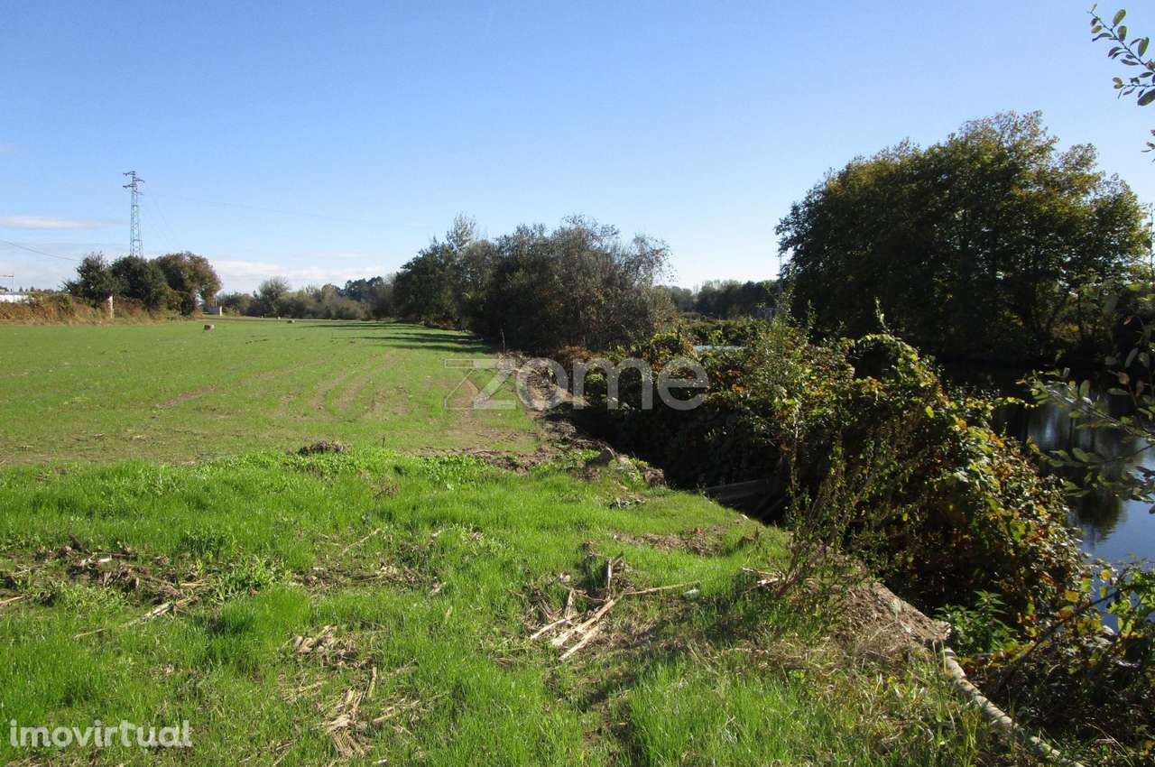Terreno rústico junto ao rio Ave em Fradelos V.N. Famalicão - Grande imagem: 2/19
