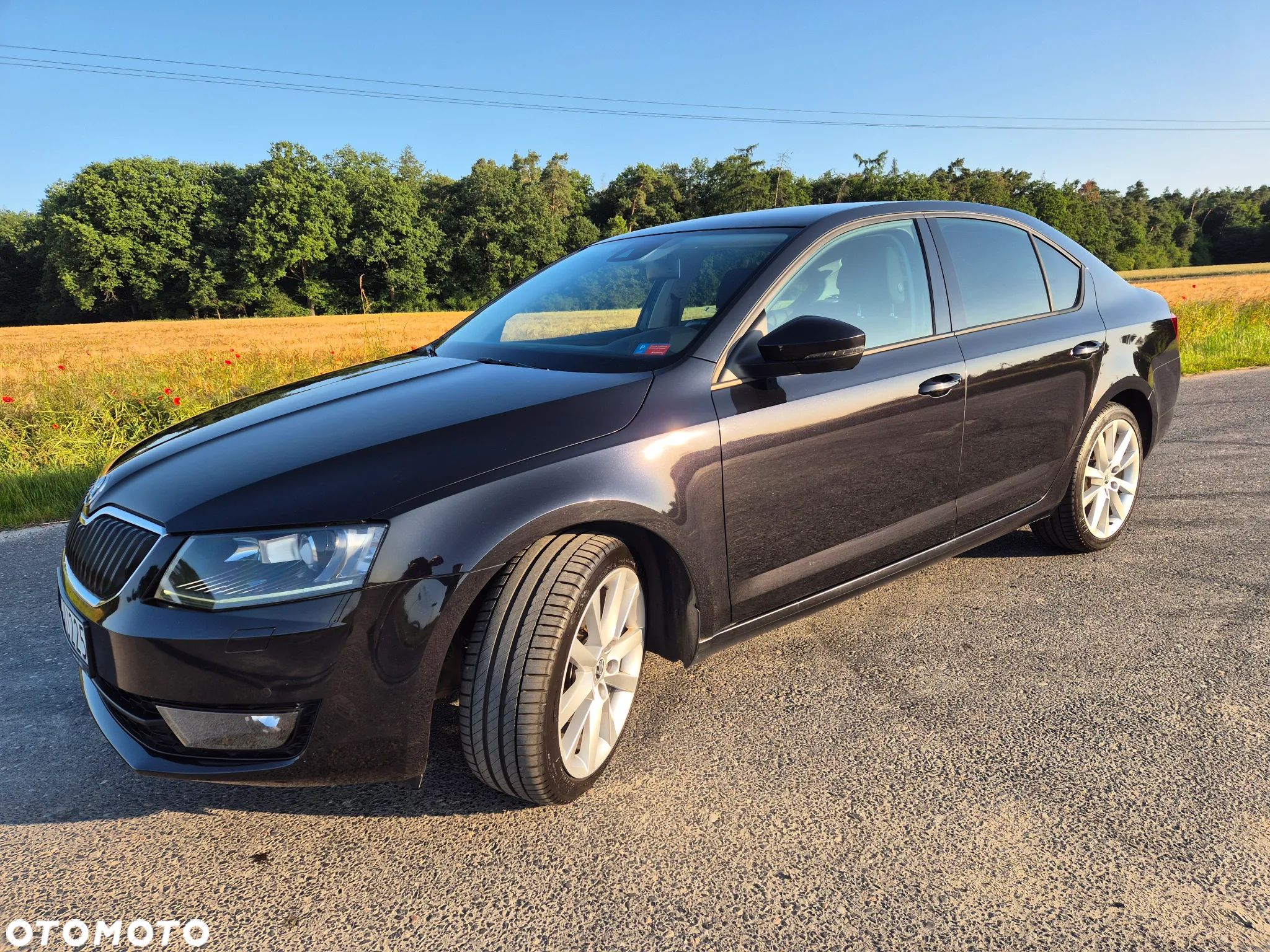 Skoda Octavia 1.4 TSI Active - 1