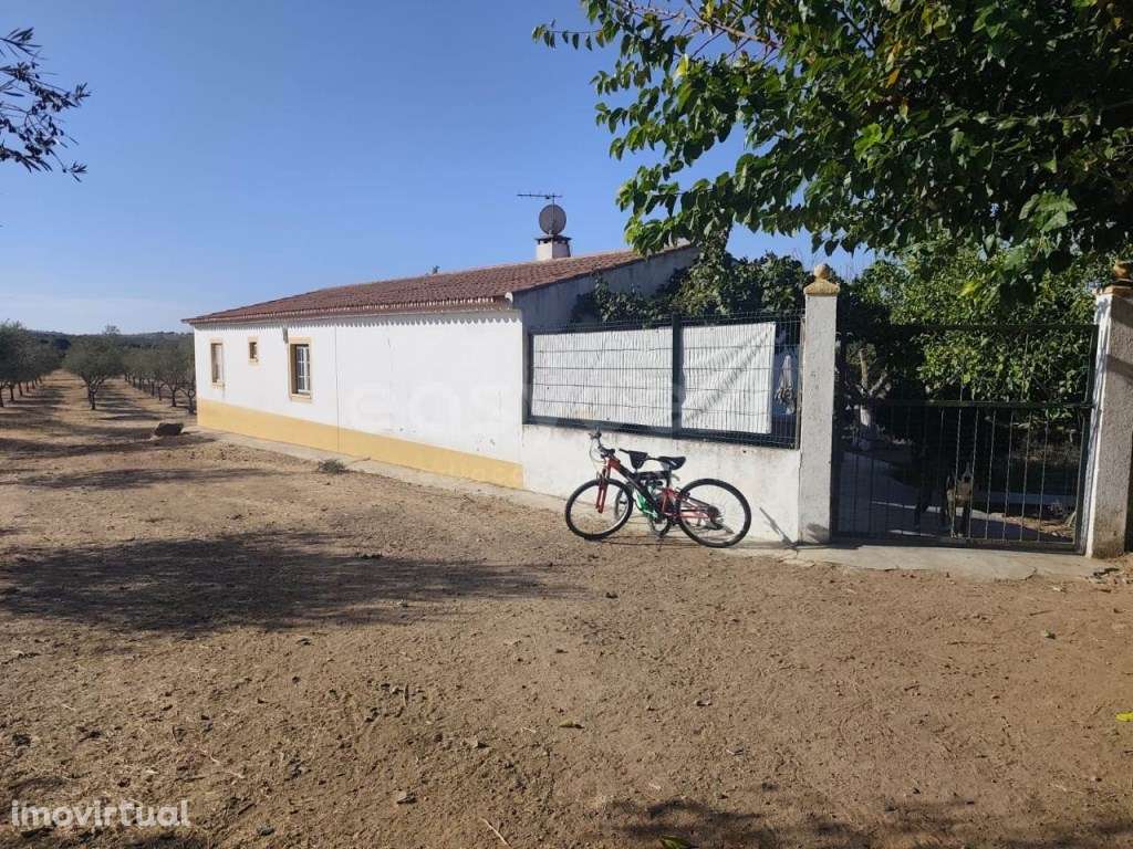 Moradia localizada em Faro do Alentejo, inserida num terreno com 31... - Grande imagem: 5/36