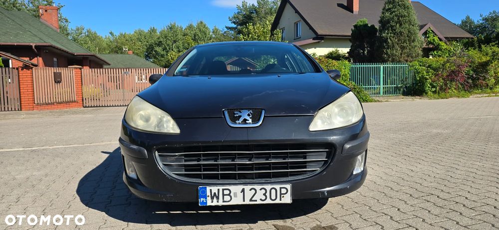 Peugeot 407 - 3