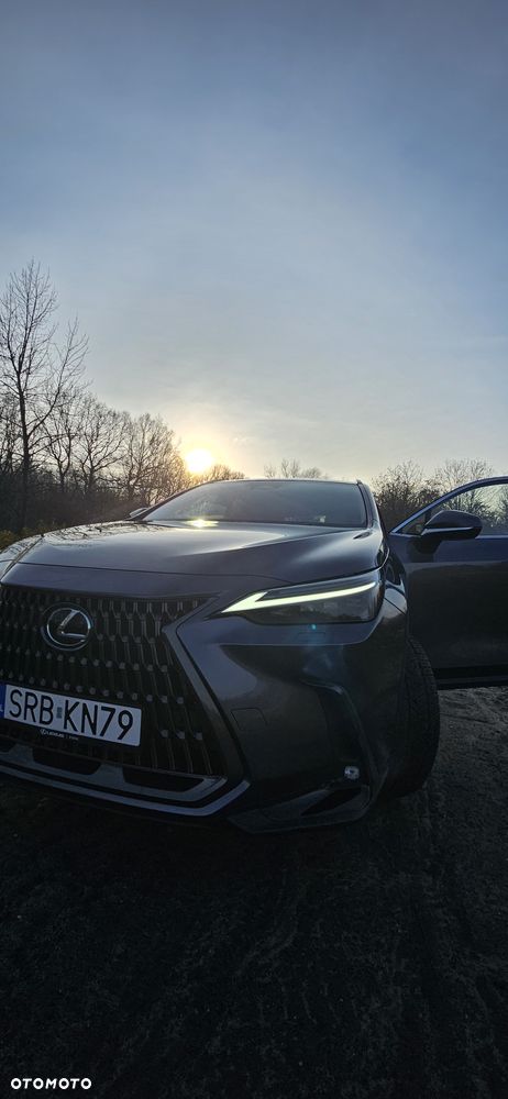 Lexus NX 350h Prestige AWD - 2