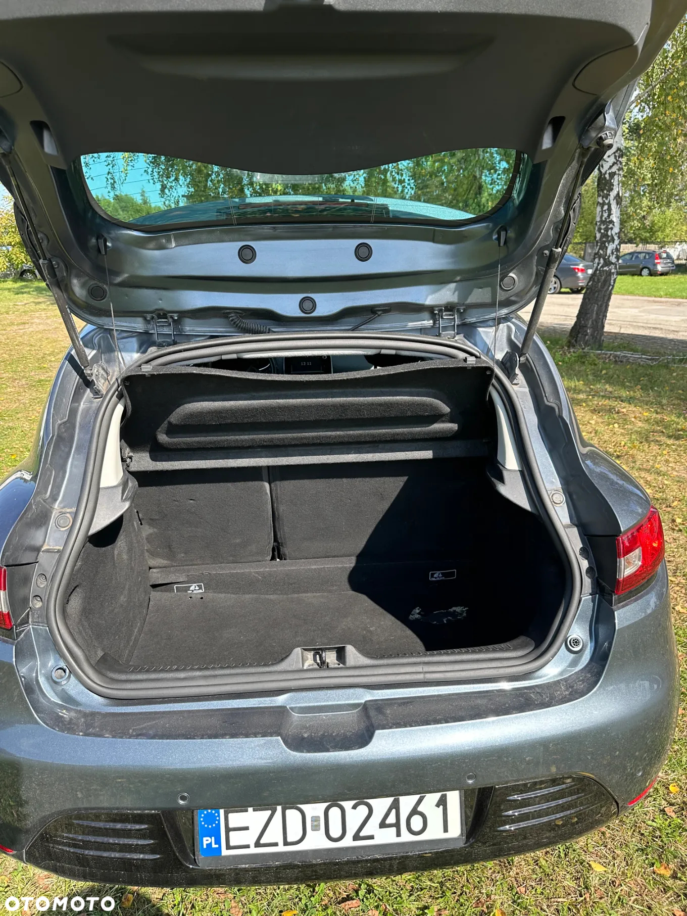 Renault Clio - 10