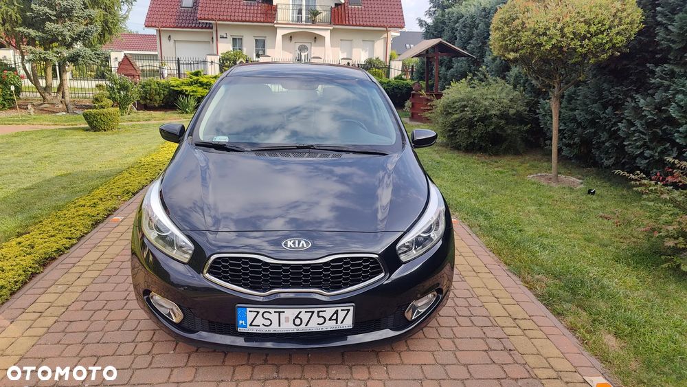 Kia Ceed - 1