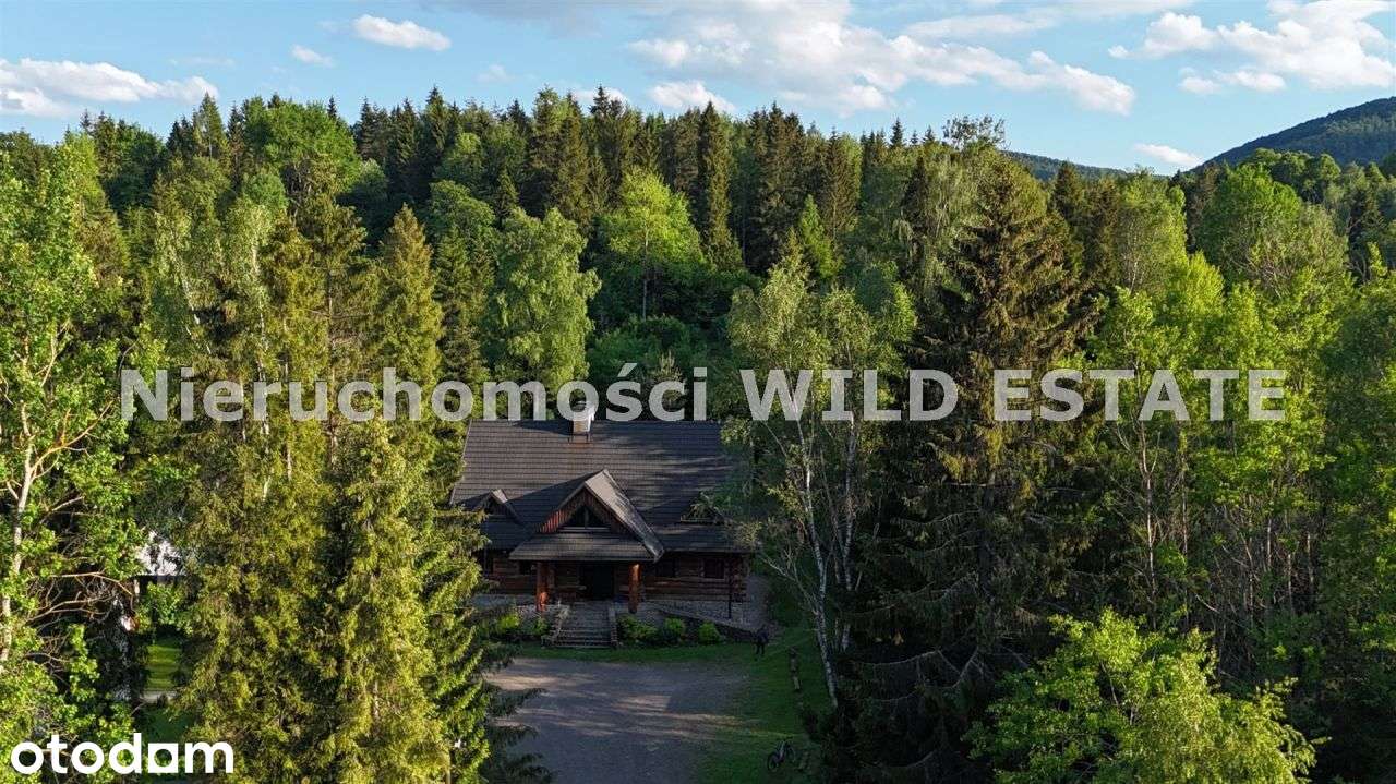 Lokal użytkowy, 8 000 m², Strzebowiska - Pełny obrazek: 3/14