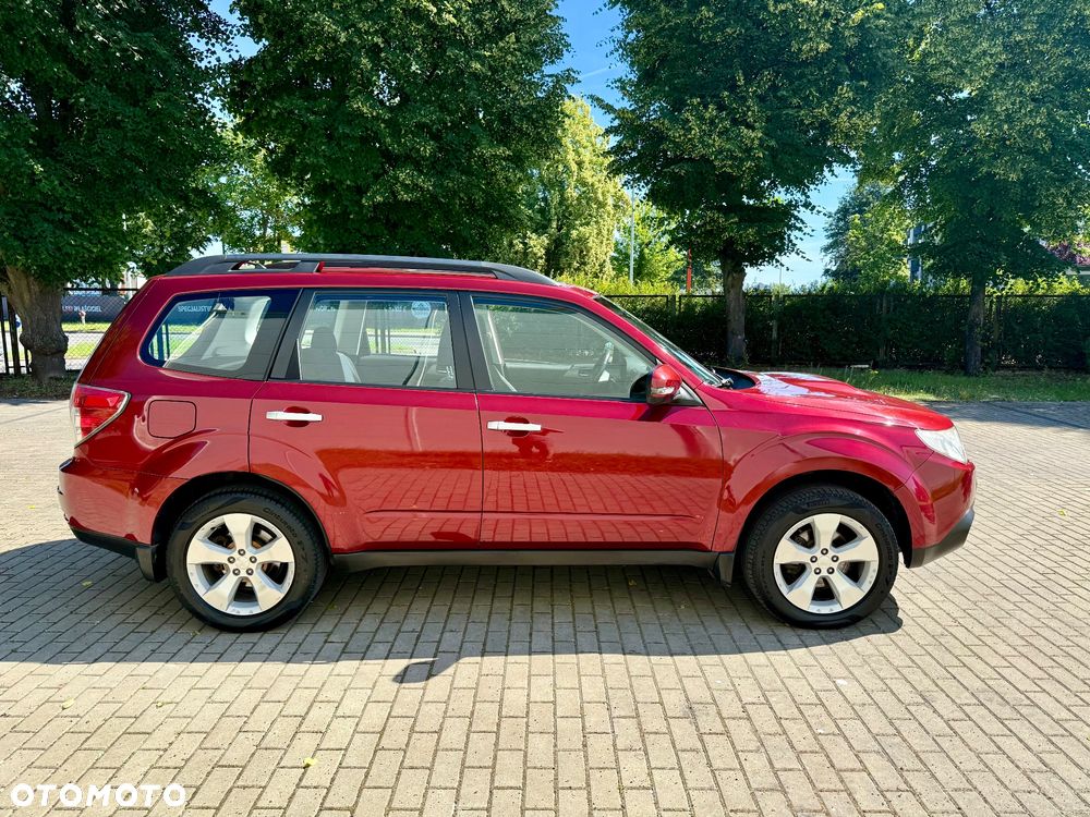 Subaru Forester - 8