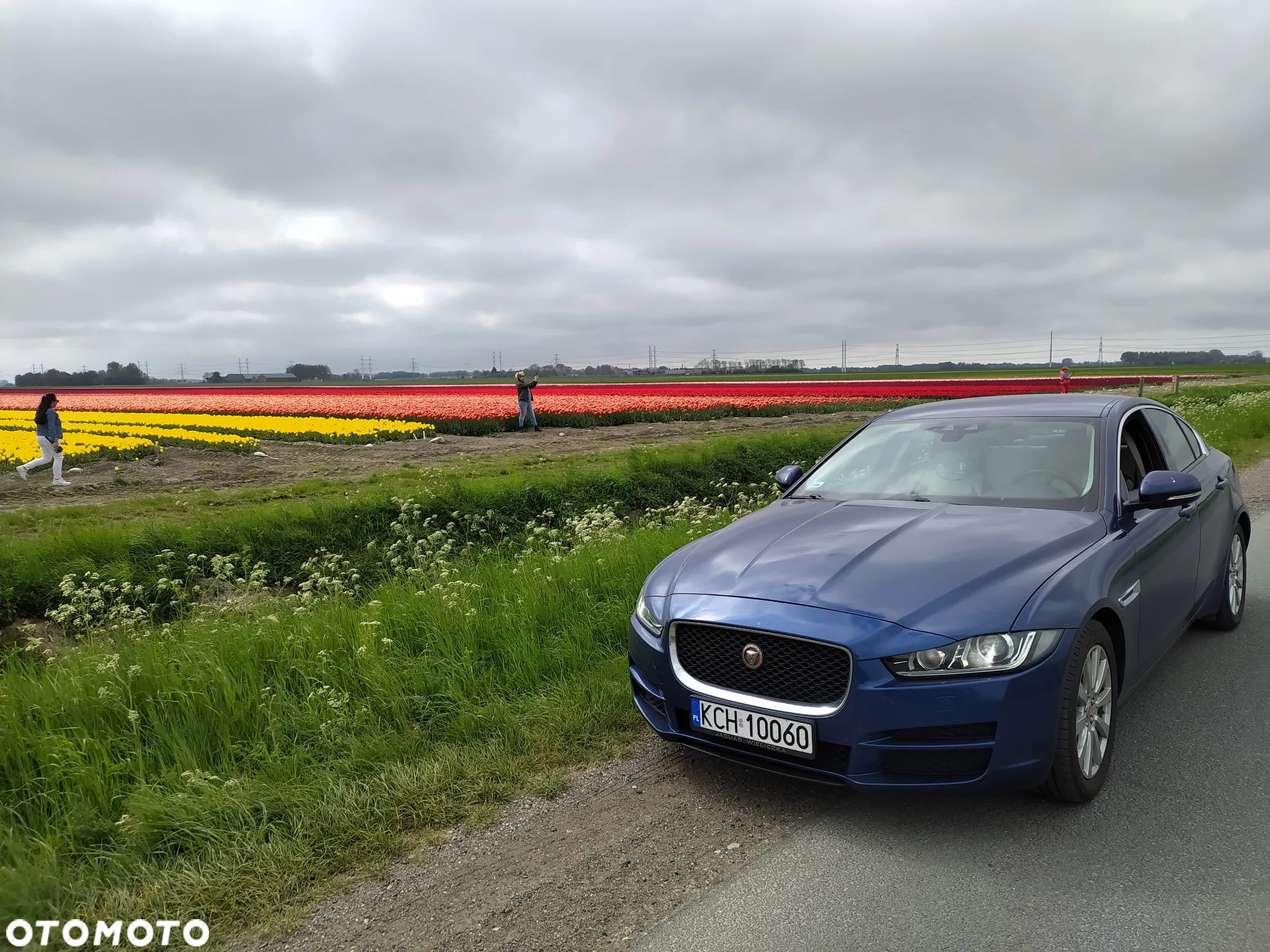 Jaguar XE 2.0 D AWD Pure - 14