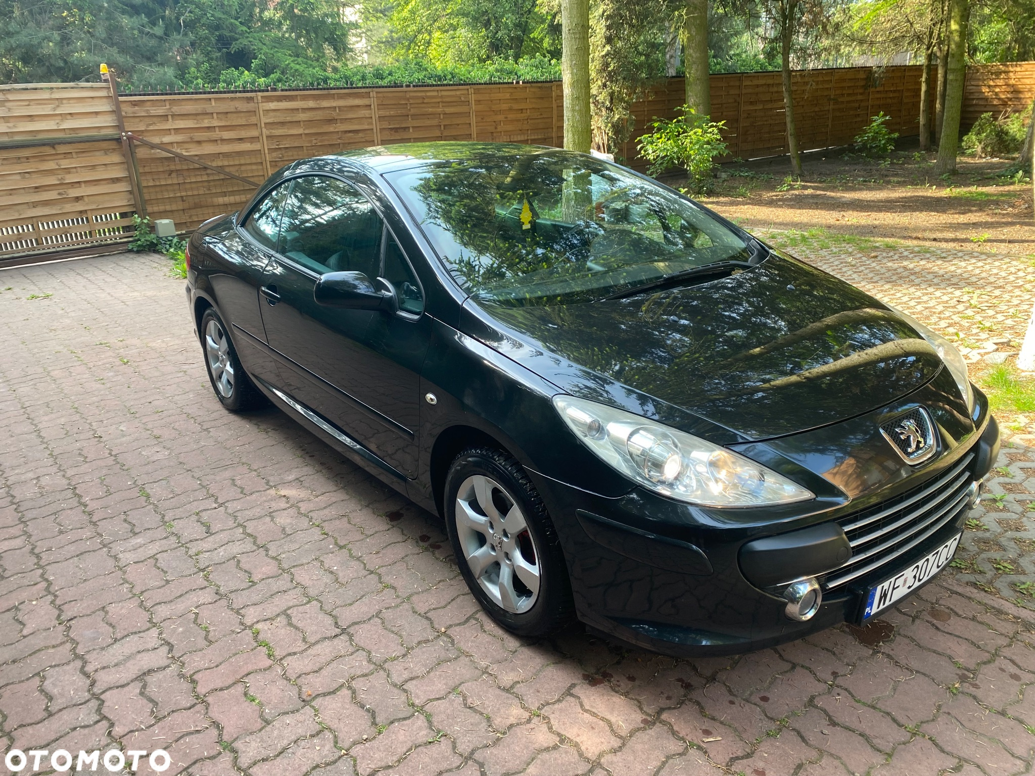 Peugeot 307 CC 2.0 Intense - 13