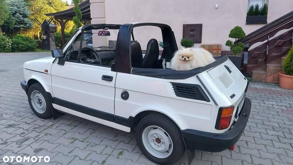 Fiat 126 - 38