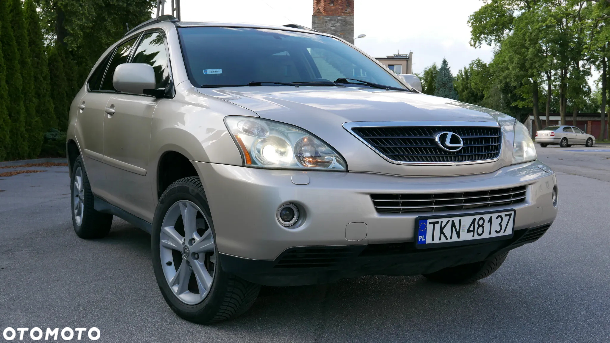 Lexus RX - 10