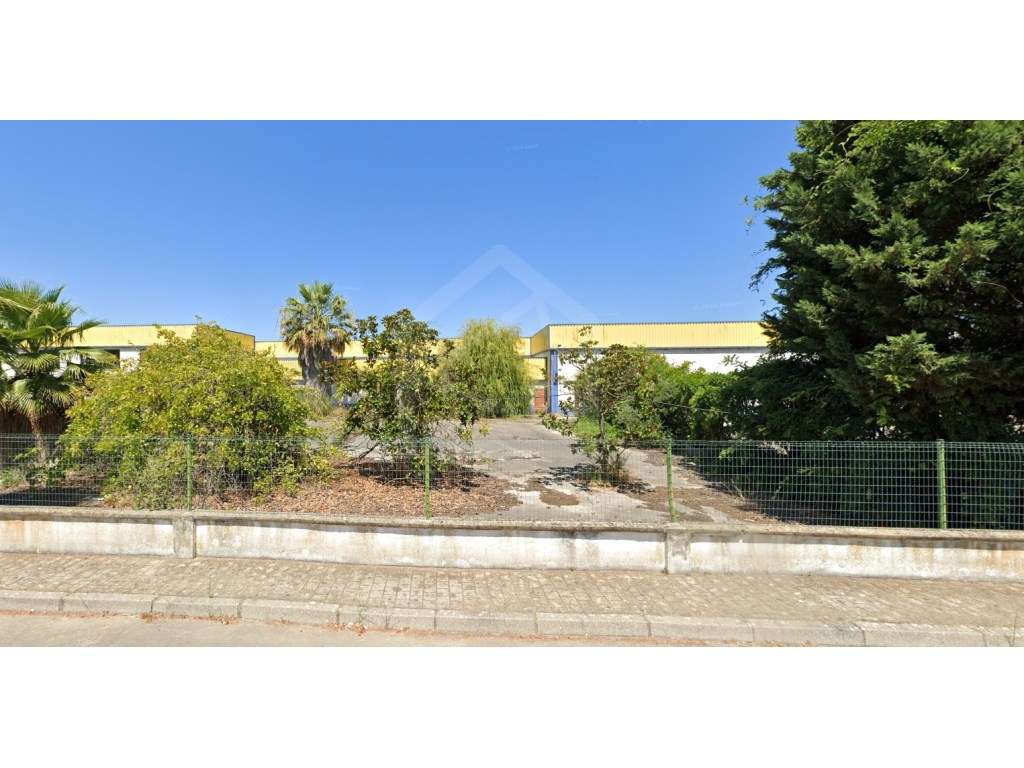 Armazém em Santarém - Grande imagem: 5/6